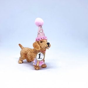 Wire Haired Dachshund Sausage Dog Puppy