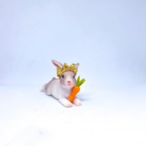 Limited Edition Carrot Queen Bunny Rabbit