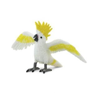 Cockatoo Parrot