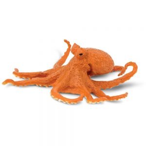 Orange Octopus