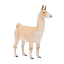 Llama Adult