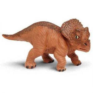 Baby Triceratops