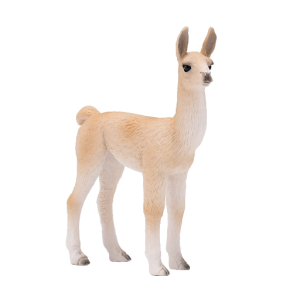 Llama Baby