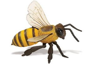 Gentle Giants Bumble Bee