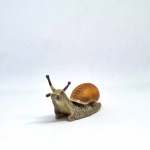 Garden Snail