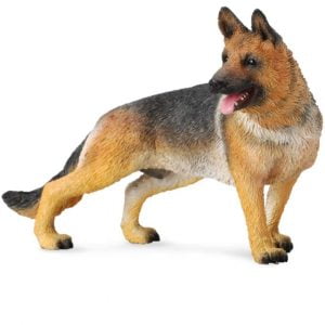 New Style German Shepherd Adult Dog