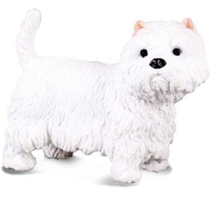 Westie West Highland Terrier Dog
