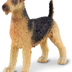 Airdale Terrier Dog