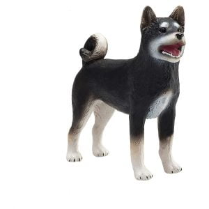 Black and White Shiba Inu Dog
