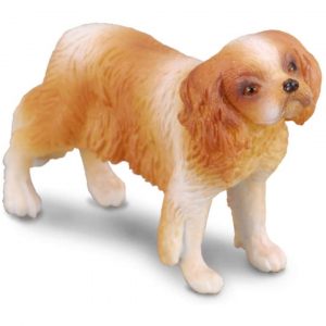 Cavalier King Charles Spaniel Dog