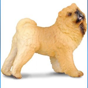 Chow Chow Dog