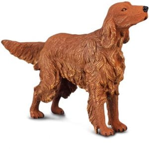 Red Setter Dog