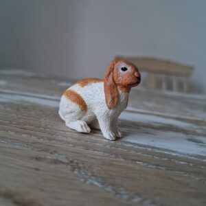 Grumpy Brown and White Lop Ear Bunny Rabbit