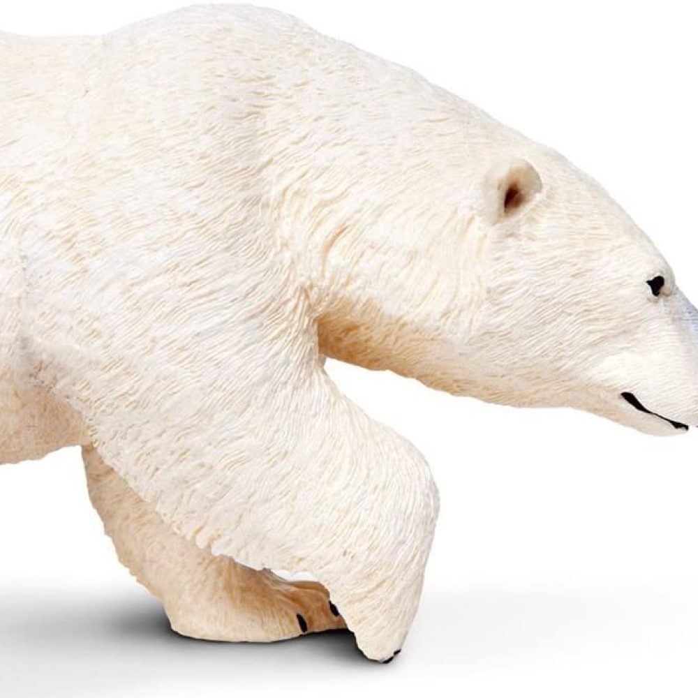 61ZzLhuW51L._AC_SL800_