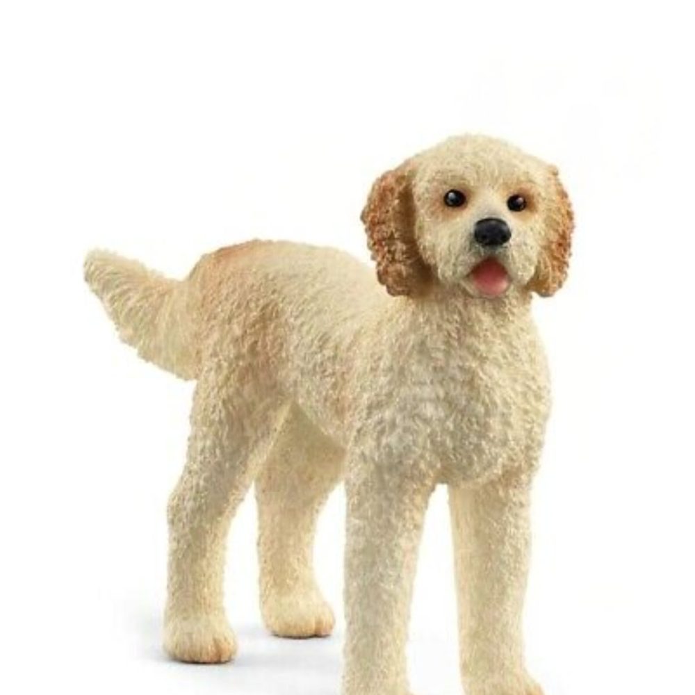 Screenshot_20220524-115947_Samsung Internet