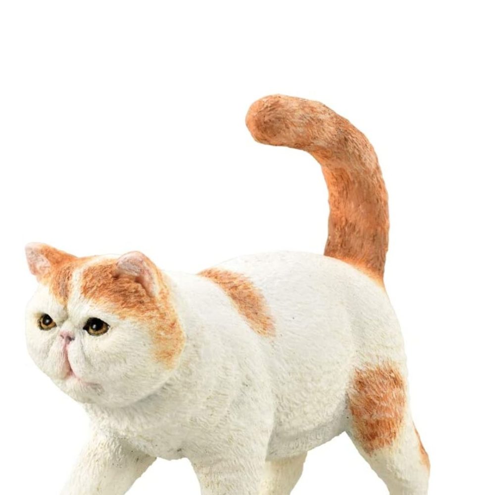 Screenshot_20220524-194130_Amazon Shopping