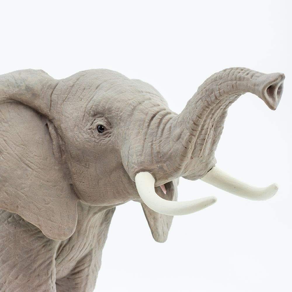 african-elephant-629333_1000x1000
