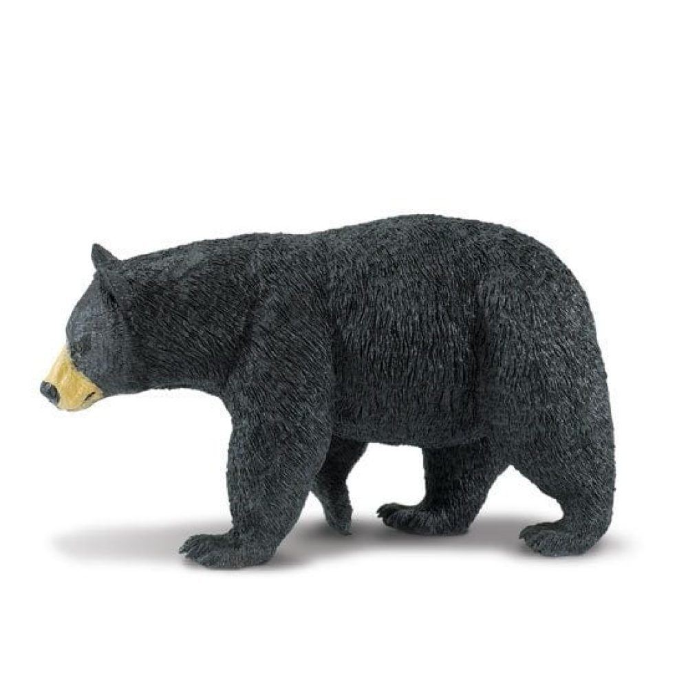 baer