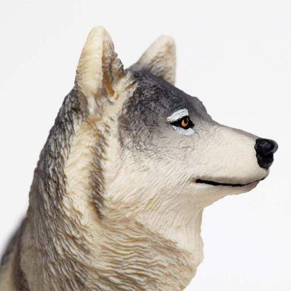 gray-wolf-227450_508x508