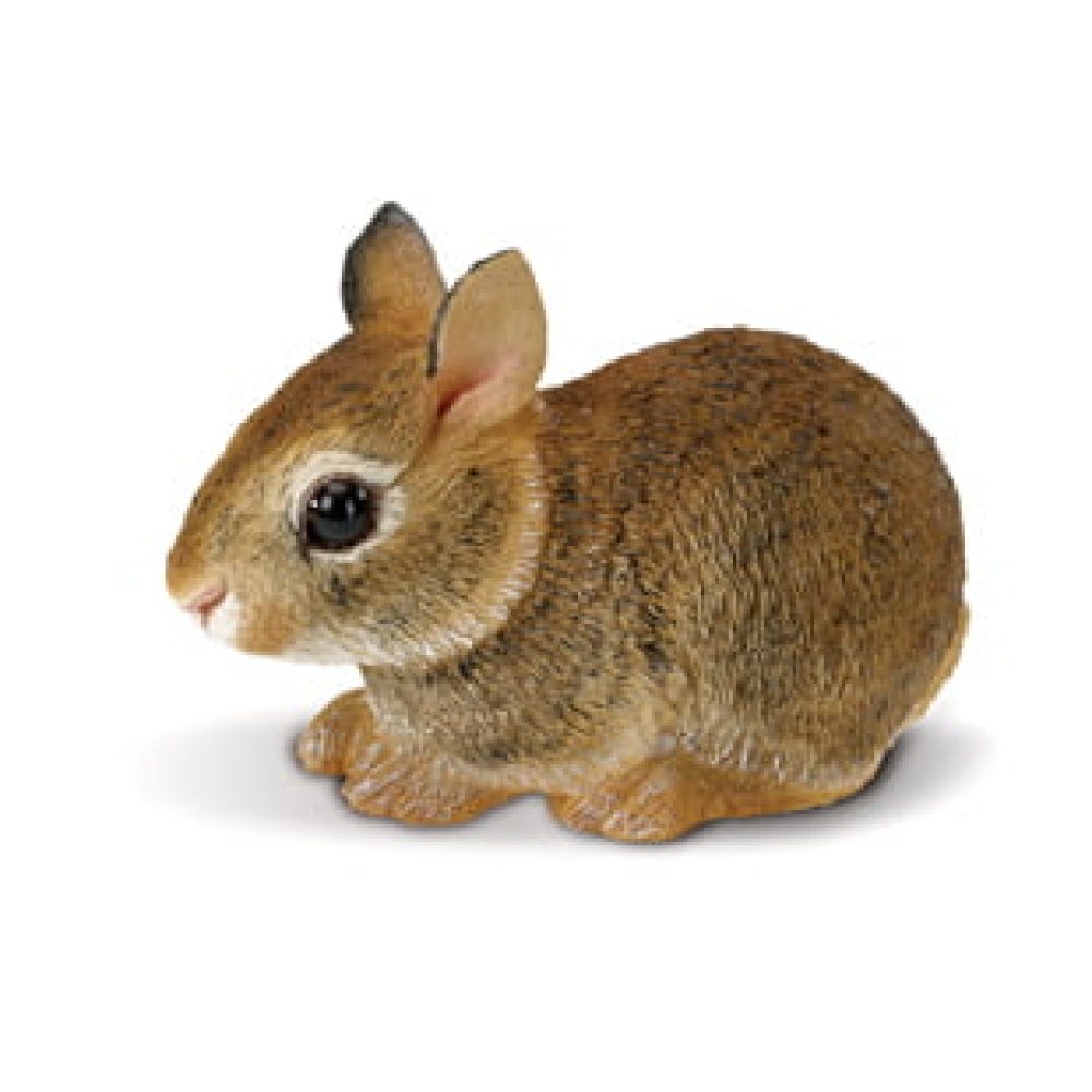 kaninchen