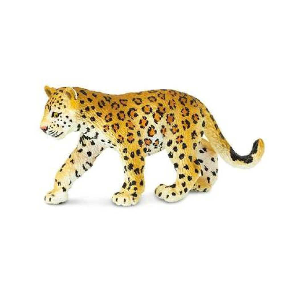 leopard-cub-373817_461x461