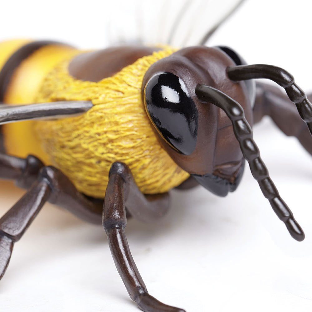 safari-ltd-honey-bee (1)