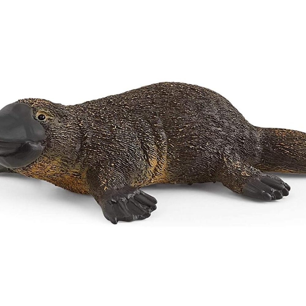 schleich-wild-life-14840-platypus-hal-whittaker-toys-knutsford-cheshire-bh3-large